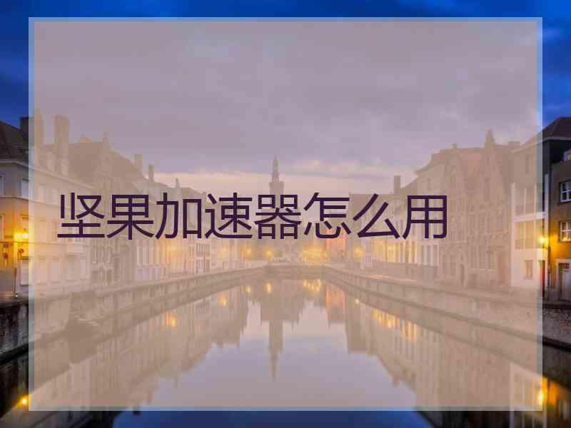坚果加速器怎么用