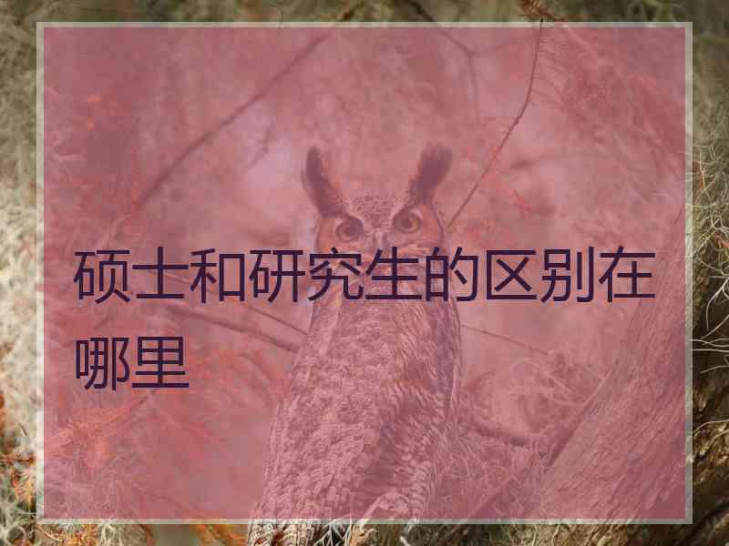 硕士和研究生的区别在哪里