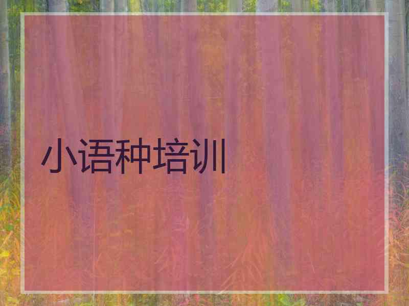 小语种培训