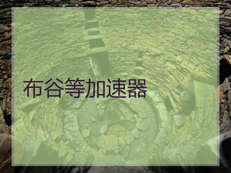 布谷等加速器