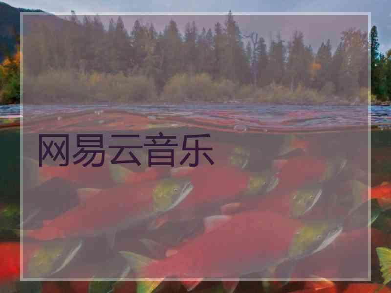 网易云音乐