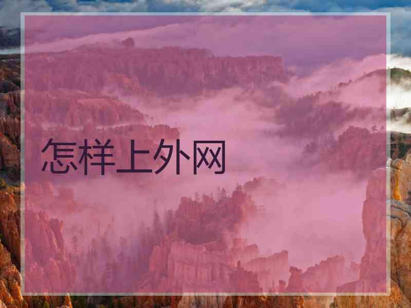 怎样上外网