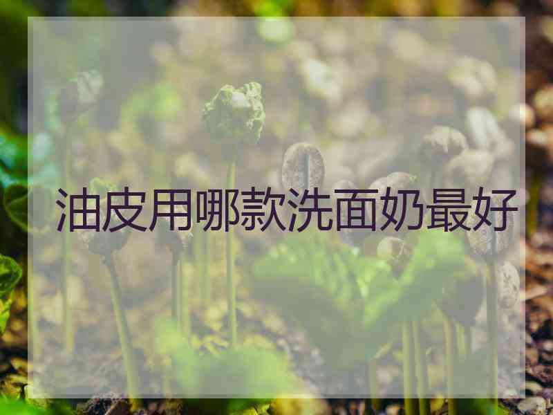 油皮用哪款洗面奶最好