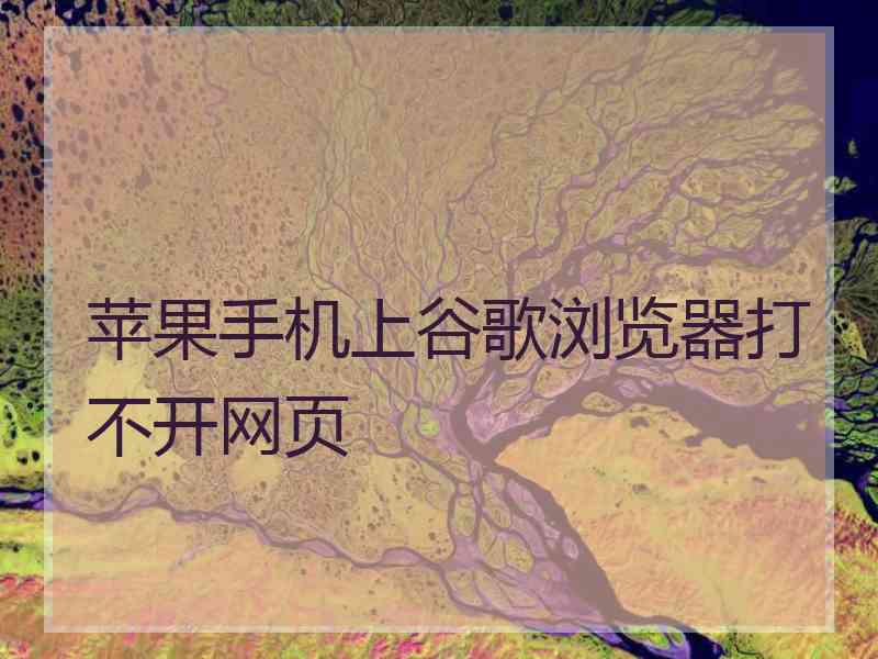 苹果手机上谷歌浏览器打不开网页