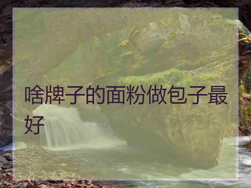啥牌子的面粉做包子最好