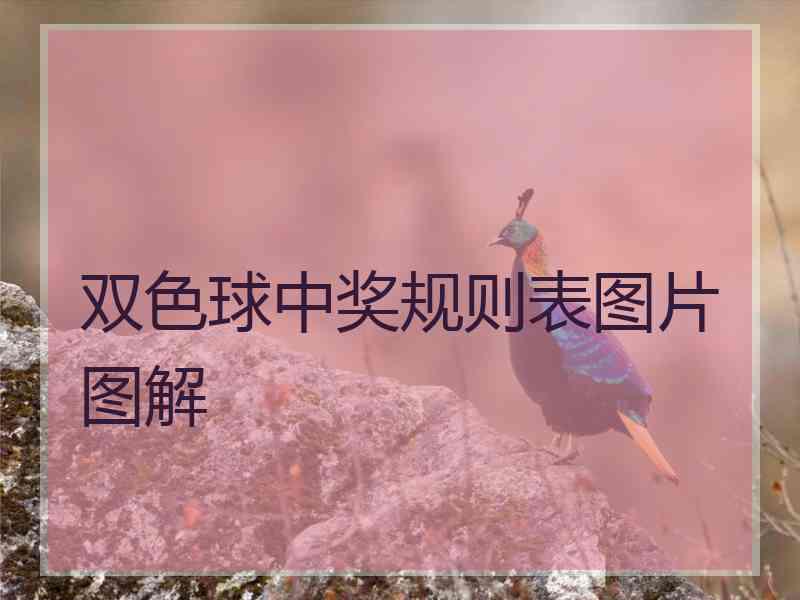 双色球中奖规则表图片图解
