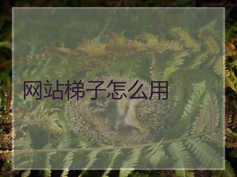 网站梯子怎么用