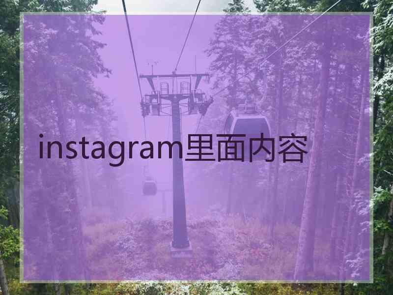 instagram里面内容