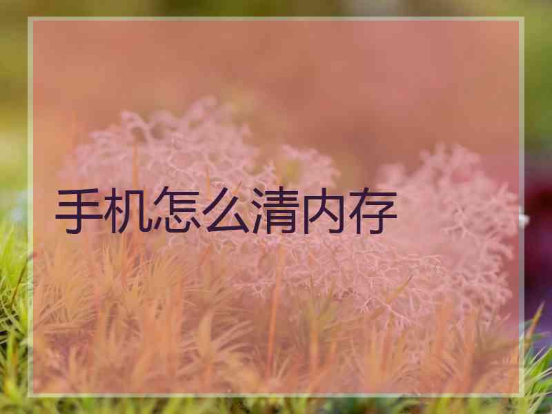 手机怎么清内存