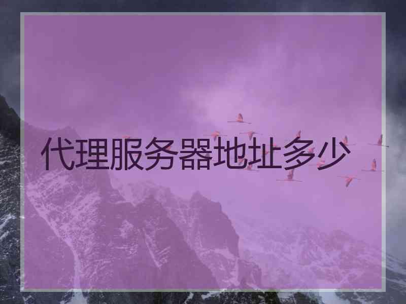 代理服务器地址多少