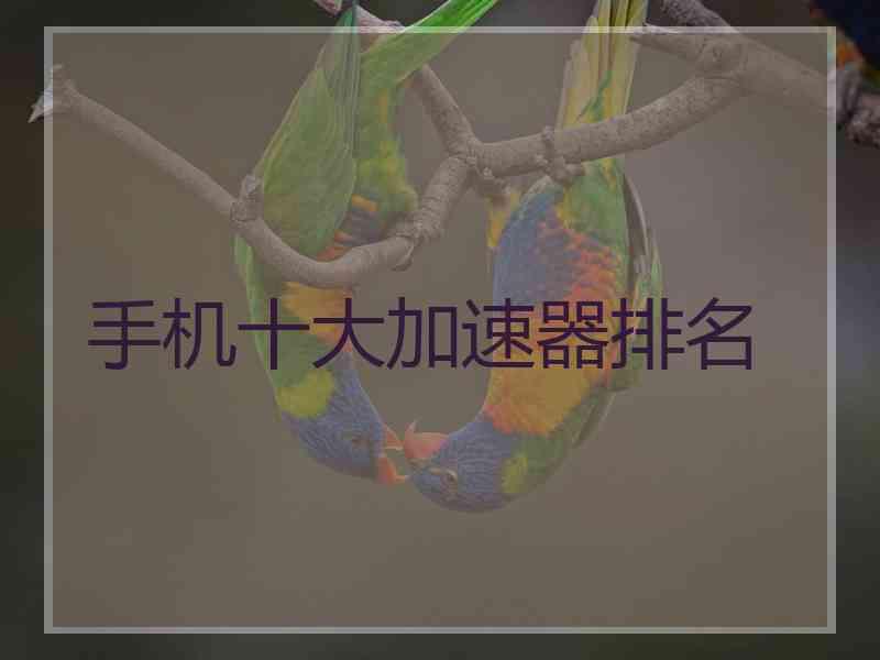 手机十大加速器排名