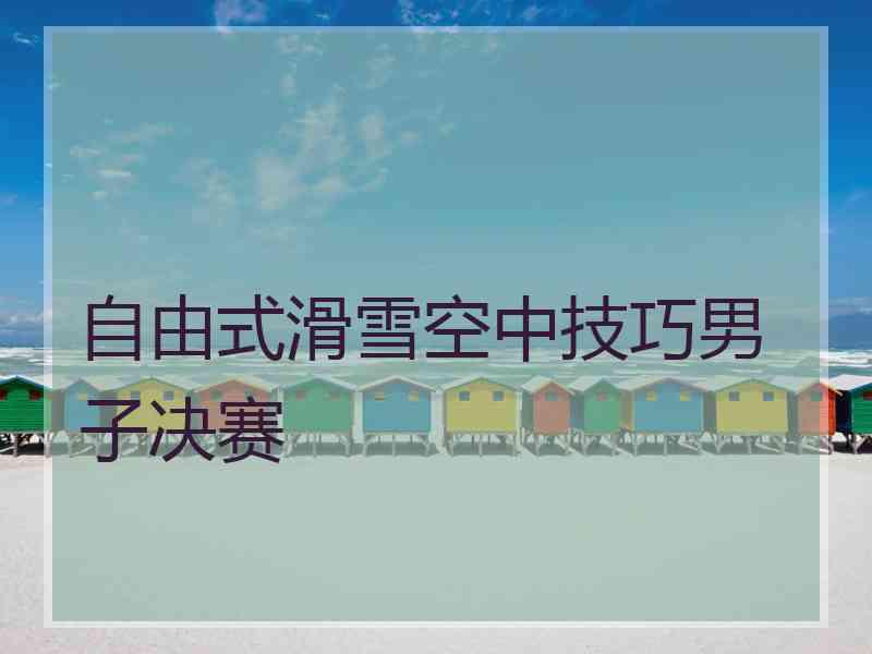 自由式滑雪空中技巧男子决赛