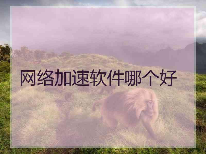 网络加速软件哪个好