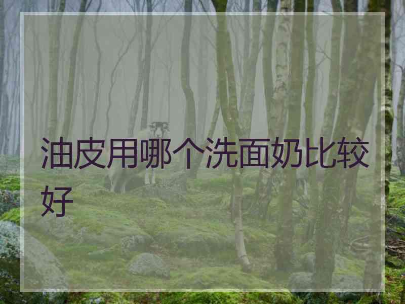 油皮用哪个洗面奶比较好