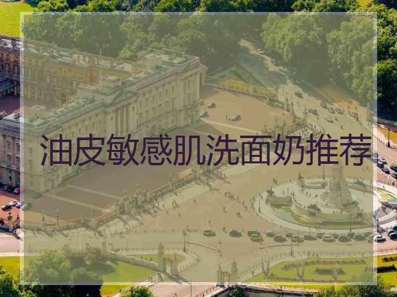 油皮敏感肌洗面奶推荐