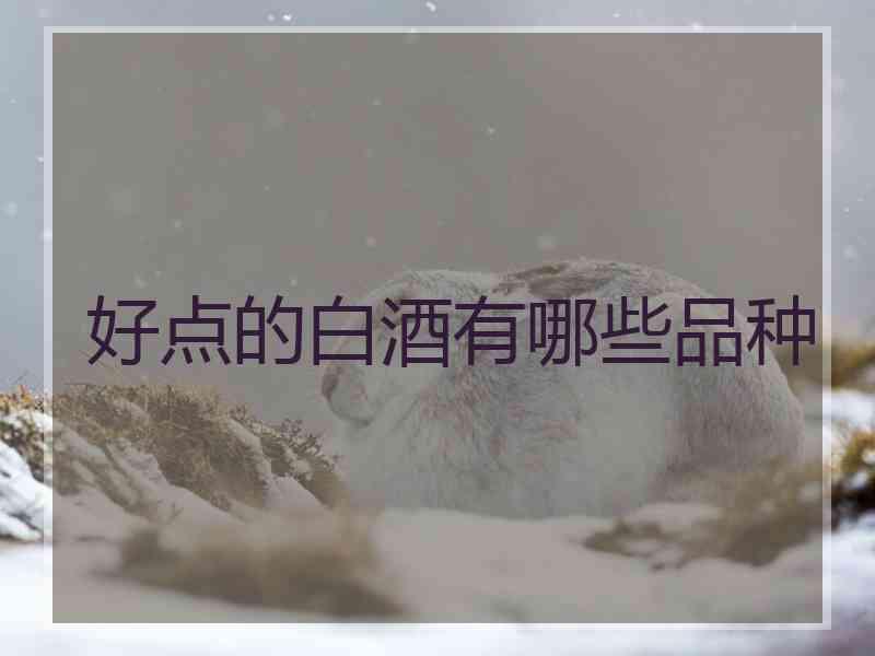 好点的白酒有哪些品种