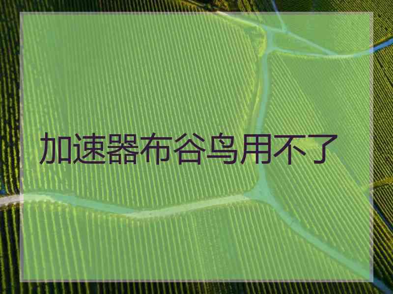 加速器布谷鸟用不了