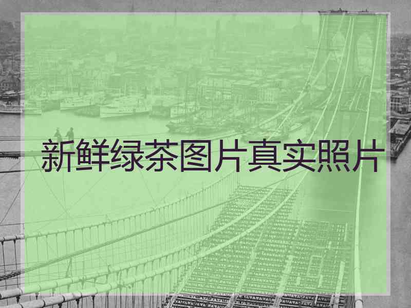新鲜绿茶图片真实照片