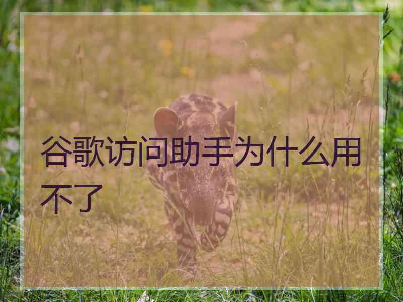 谷歌访问助手为什么用不了
