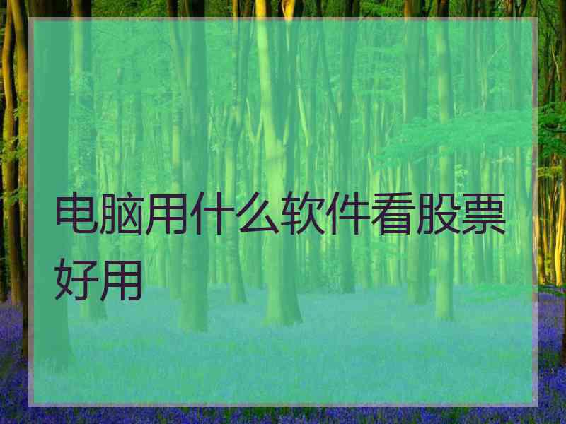 电脑用什么软件看股票好用