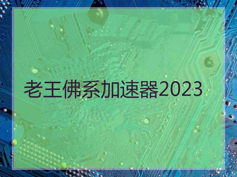 老王佛系加速器2023