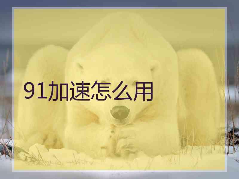 91加速怎么用