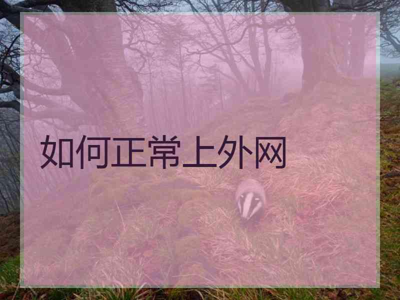 如何正常上外网