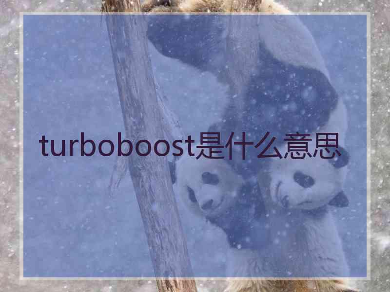 turboboost是什么意思
