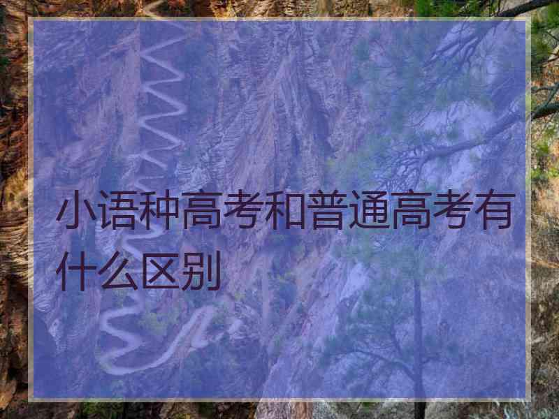 小语种高考和普通高考有什么区别