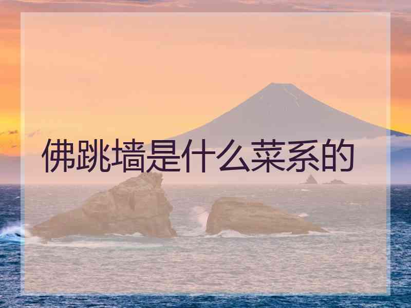 佛跳墙是什么菜系的