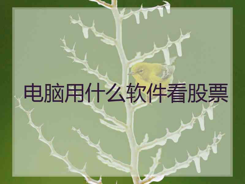 电脑用什么软件看股票