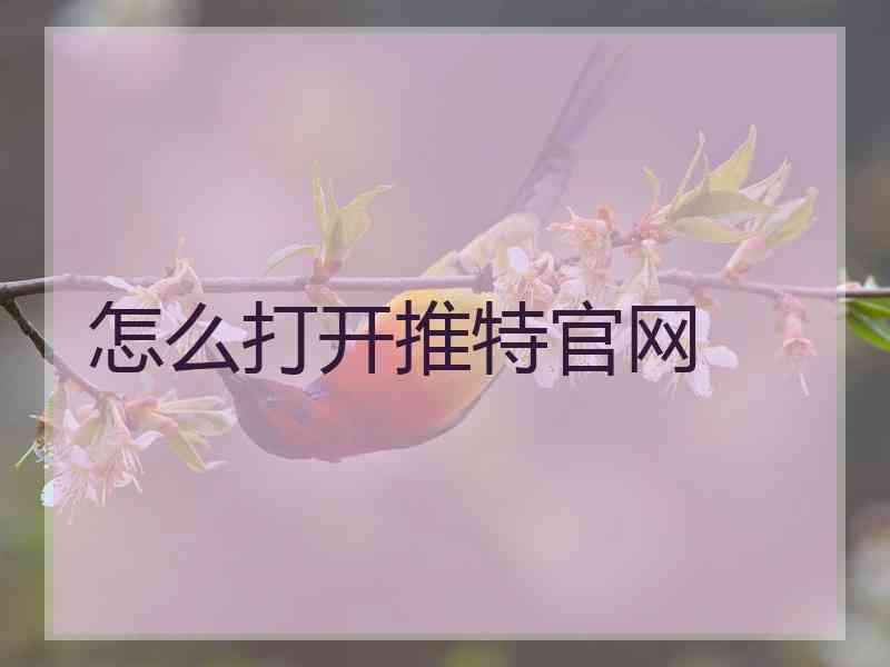 怎么打开推特官网