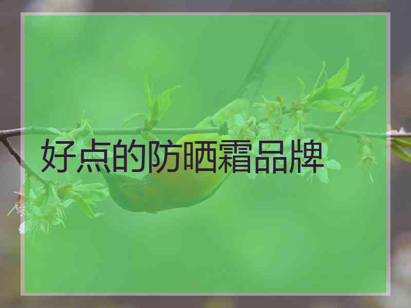 好点的防晒霜品牌