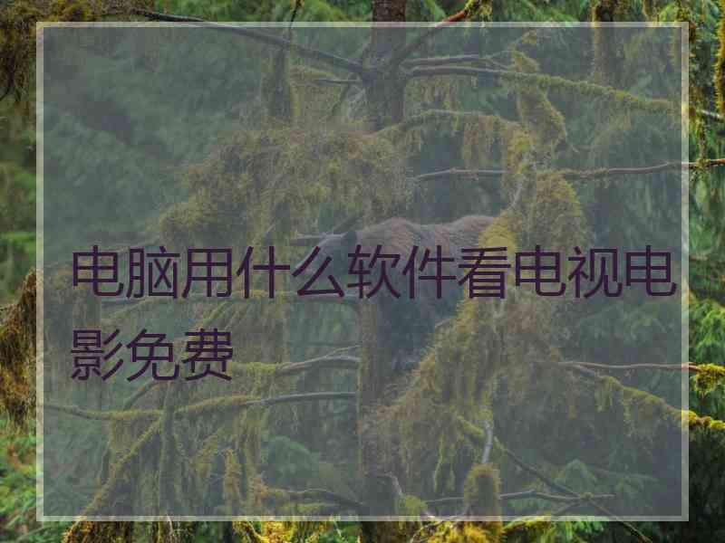 电脑用什么软件看电视电影免费