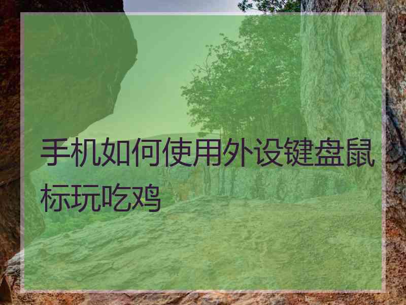 手机如何使用外设键盘鼠标玩吃鸡