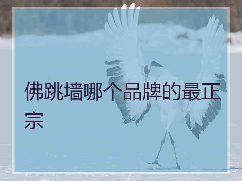 佛跳墙哪个品牌的最正宗