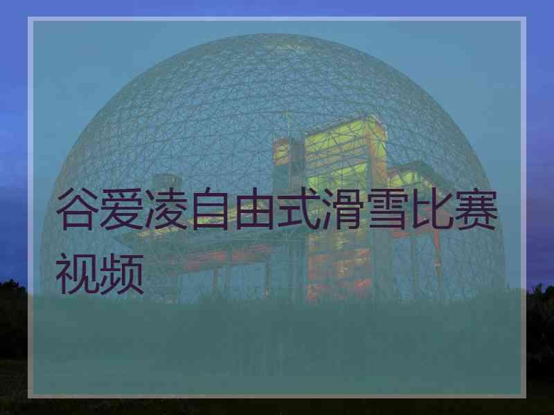 谷爱凌自由式滑雪比赛视频