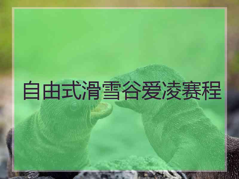 自由式滑雪谷爱凌赛程