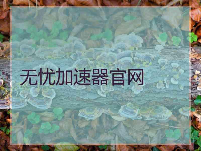 无忧加速器官网