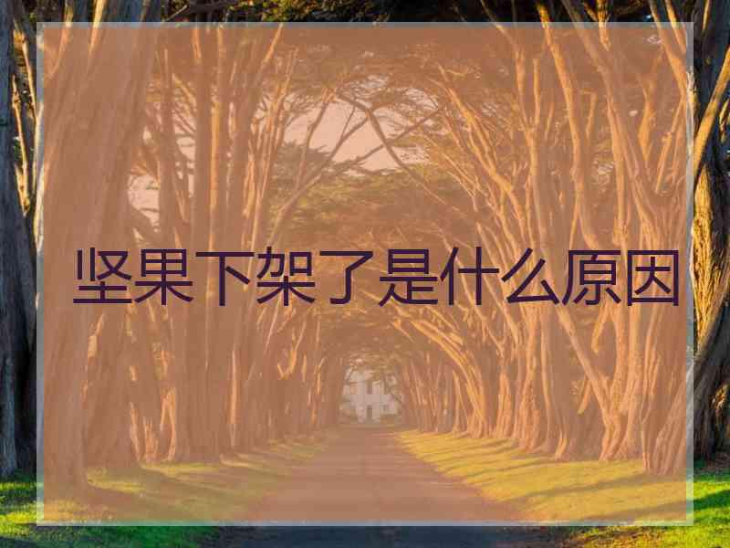 坚果下架了是什么原因