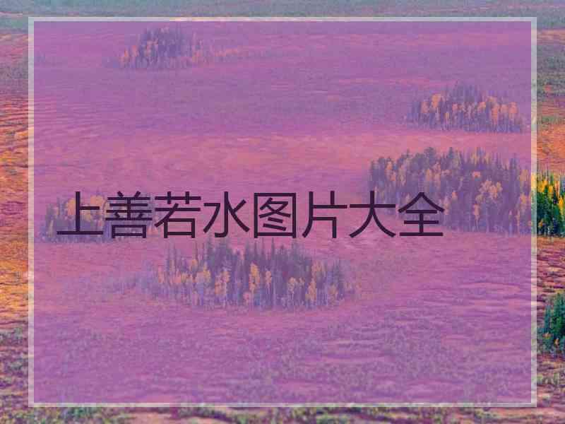 上善若水图片大全