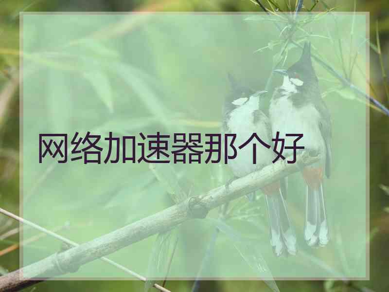 网络加速器那个好