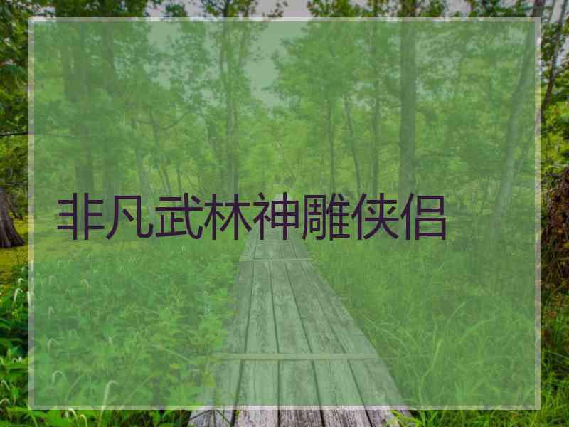非凡武林神雕侠侣