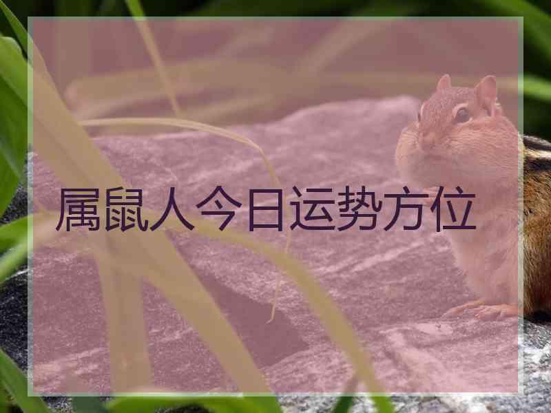 属鼠人今日运势方位