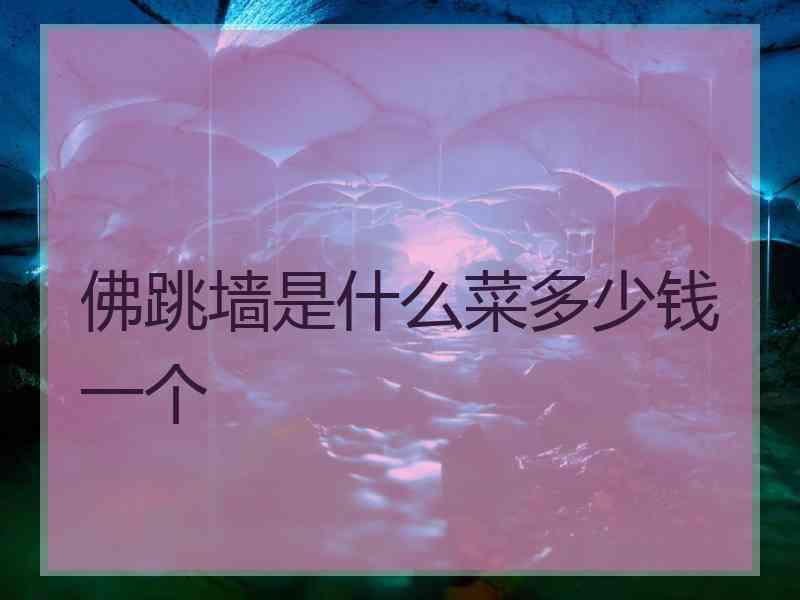 佛跳墙是什么菜多少钱一个