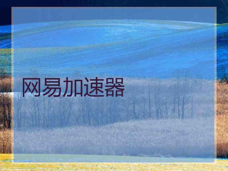 网易加速器