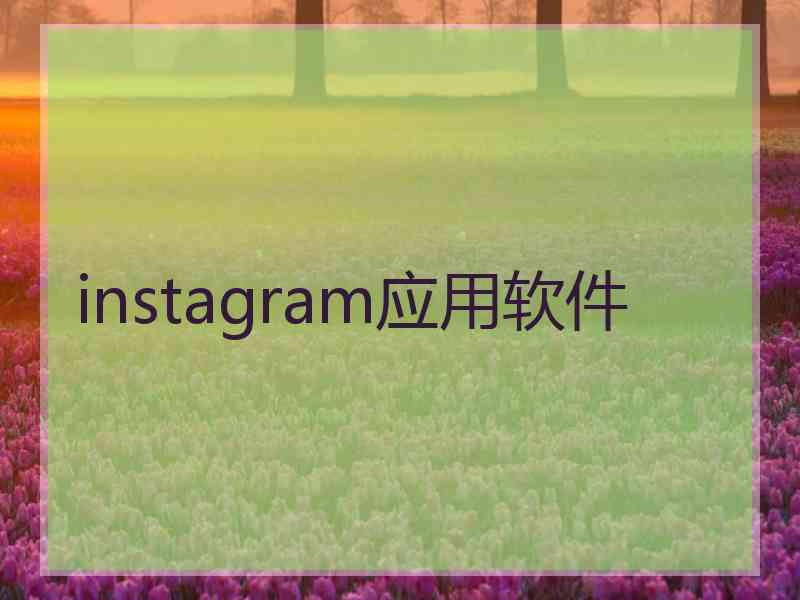instagram应用软件