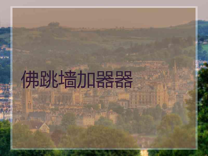 佛跳墙加器器