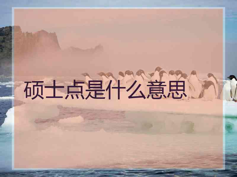 硕士点是什么意思