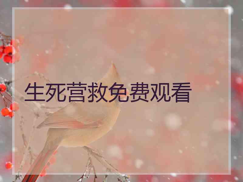 生死营救免费观看